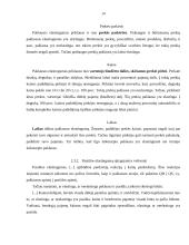 Elastingumo teorija (mikro ir makro) 13 puslapis