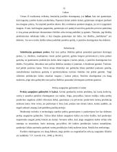 Elastingumo teorija (mikro ir makro) 14 puslapis