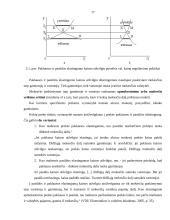 Elastingumo teorija (mikro ir makro) 16 puslapis