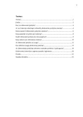 Elektroninė prekyba 2 puslapis