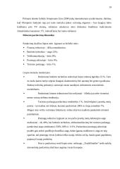 Elektroninė prekyba 19 puslapis