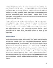 Elektroninė rinka pardavėjams ir vartotojams 13 puslapis