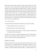 Elektroninė rinka pardavėjams ir vartotojams 14 puslapis