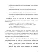 Elektroninė rinka pardavėjams ir vartotojams 19 puslapis