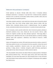 Elektroninė rinka pardavėjams ir vartotojams 4 puslapis