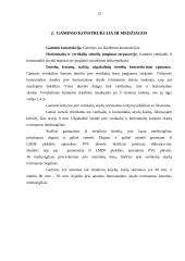 Spintos vaizdo ir garso aparatūrai gamybos technologija: UAB "Baltijos baldų grupė" 12 puslapis