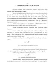 Spintos vaizdo ir garso aparatūrai gamybos technologija: UAB "Baltijos baldų grupė" 17 puslapis