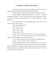 Spintos vaizdo ir garso aparatūrai gamybos technologija: UAB "Baltijos baldų grupė" 20 puslapis