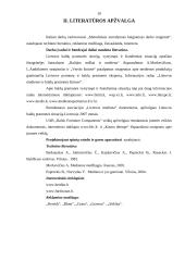 Spintos vaizdo ir garso aparatūrai gamybos technologija: UAB "Baltijos baldų grupė" 10 puslapis