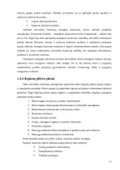 Strateginio plėtros plano lyginamoji analizė: Tauragės rajonas 12 puslapis