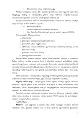 Strateginio plėtros plano lyginamoji analizė: Tauragės rajonas 13 puslapis