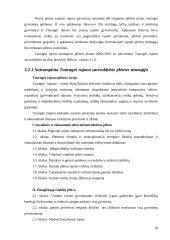 Strateginio plėtros plano lyginamoji analizė: Tauragės rajonas 19 puslapis