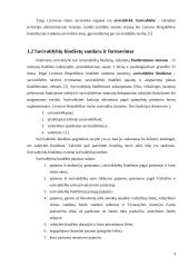 Strateginio plėtros plano lyginamoji analizė: Tauragės rajonas 5 puslapis