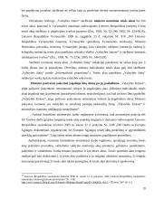 Susisiekimo ministerija – Lietuvos Respublikos viešojo administravimo subjektas 20 puslapis