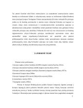 Europos Sąjungos teisės sistema ir ES teisės pažeidimai 3 puslapis