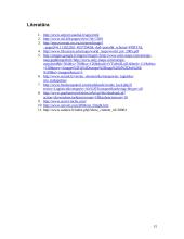 Šiaulių oro uostas 15 puslapis