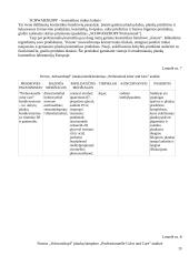 Šukuosenų dizainas 11 puslapis