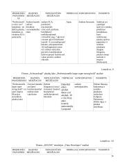 Šukuosenų dizainas 12 puslapis