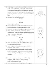 Šukuosenų dizainas 14 puslapis