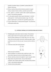 Šukuosenų dizainas 15 puslapis