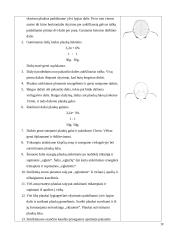 Šukuosenų dizainas 17 puslapis