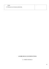 Šukuosenų dizainas 18 puslapis