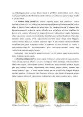 Ežerų pakrančių indikatoriniai augalai: rūšys, morfologiniai ir anatominiai požymiai 5 puslapis