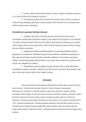 Finansinės ir menedžmento apskaitos apibūdinimas, palyginimas 20 puslapis