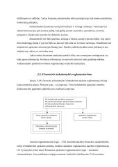 Finansinės ir menedžmento apskaitos apibūdinimas, palyginimas 6 puslapis