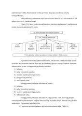 Finansinės ir menedžmento apskaitos apibūdinimas, palyginimas 7 puslapis