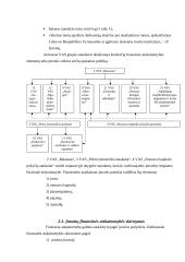Finansinės ir menedžmento apskaitos apibūdinimas, palyginimas 8 puslapis