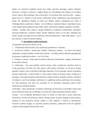 Finansinis įstaigos veiklos vertinimas 12 puslapis