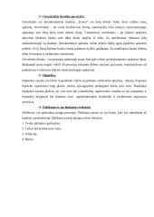 Finansinis įstaigos veiklos vertinimas 13 puslapis