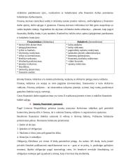 Finansinis įstaigos veiklos vertinimas 3 puslapis