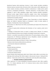 Finansinis įstaigos veiklos vertinimas 4 puslapis