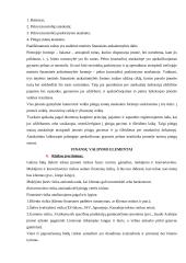 Finansinis įstaigos veiklos vertinimas 5 puslapis