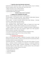 Finansinis įstaigos veiklos vertinimas 6 puslapis