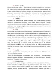 Finansinis įstaigos veiklos vertinimas 10 puslapis