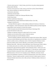 Užsieniečių aptarnavimas Lietuvos ir Vokietijos viešosiose bibliotekose 11 puslapis