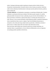Užsieniečių aptarnavimas Lietuvos ir Vokietijos viešosiose bibliotekose 13 puslapis