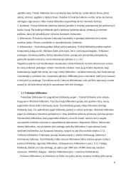 Užsieniečių aptarnavimas Lietuvos ir Vokietijos viešosiose bibliotekose 8 puslapis