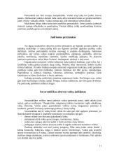 Fizinės veiklos formos vaikų darželyje ir pradinėje mokykloje 11 puslapis