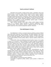 Fizinės veiklos formos vaikų darželyje ir pradinėje mokykloje 12 puslapis