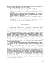 Fizinės veiklos formos vaikų darželyje ir pradinėje mokykloje 13 puslapis