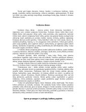 Fizinės veiklos formos vaikų darželyje ir pradinėje mokykloje 14 puslapis