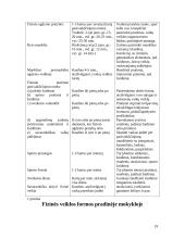 Fizinės veiklos formos vaikų darželyje ir pradinėje mokykloje 19 puslapis