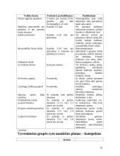 Fizinės veiklos formos vaikų darželyje ir pradinėje mokykloje 20 puslapis