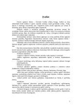 Fizinės veiklos formos vaikų darželyje ir pradinėje mokykloje 3 puslapis