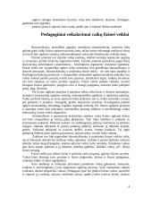 Fizinės veiklos formos vaikų darželyje ir pradinėje mokykloje 4 puslapis