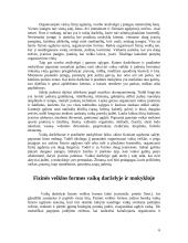 Fizinės veiklos formos vaikų darželyje ir pradinėje mokykloje 6 puslapis